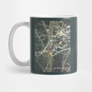 bird in a winter tree Mug